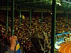 20031029_06.jpg