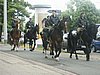20040605_24.jpg
