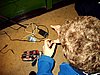 20050113_16.jpg