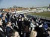 20050320_15.jpg