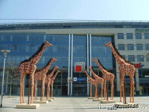 20050424_01.jpg
