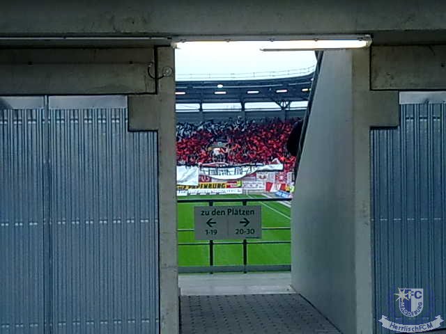 20120411_01.jpg