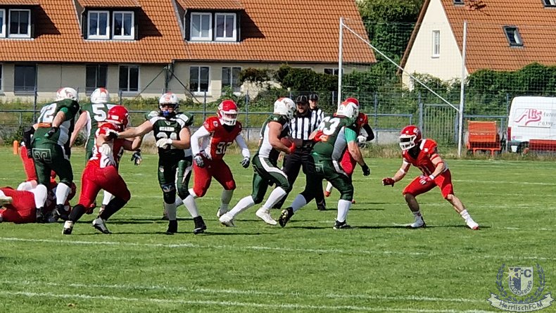 20240616_06.jpg
