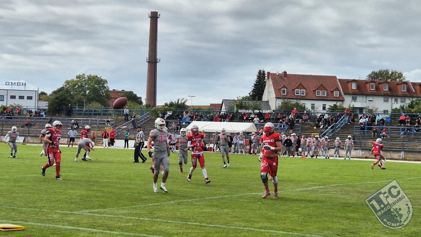 20250824_04.jpg