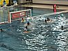 20260228_06.jpg